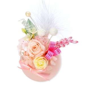 tmp_25323-PF-0062-PK-1523711914